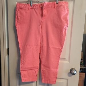 Worthington Vibrant Pink Pants